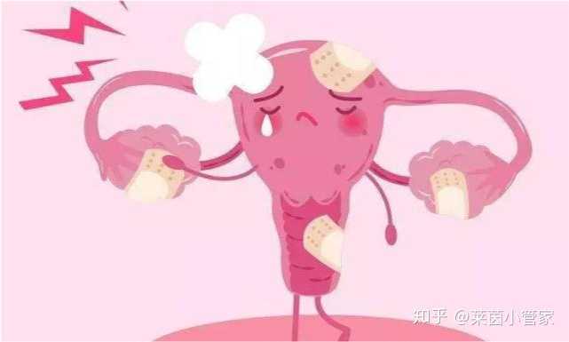 杭州一孕妇怀上八胞胎，医生建议减胎，有网友称：分我一个