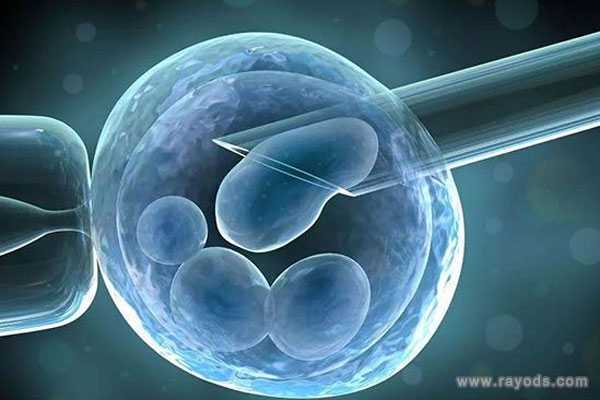 杭州代生包儿子,试管婴儿优胚和普胚的区别，一览本文即可熟知-供卵中介哪家