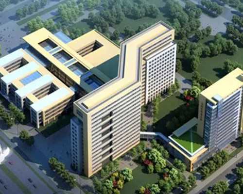 最高3000元！杭州明年起“试管婴儿”费用可部分报销，多地或跟进，近千亿级