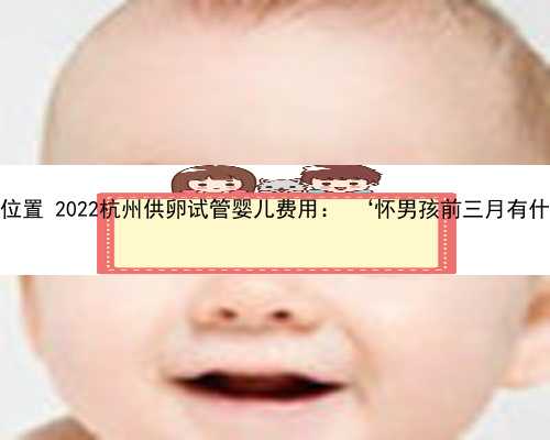 杭州代孕具体位置 2022杭州供卵试管婴儿费用： ‘怀男孩前三月有什么特征最准